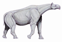 indricotherium