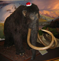 mammoth at xmas